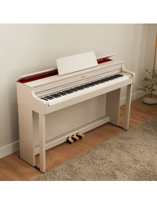 Casio AP-300 GB