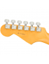 Fender® American Pro II Stratocaster® MN MSFG
