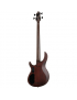 Cort B4 Element FL OPTB