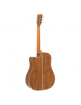 Stagg SA45 DCE-AC