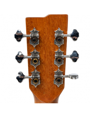 Stagg SA45 DCE-AC