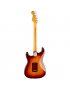 Fender® 70th Anniversary American Professional II Stratocaster® RW COM