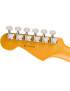Fender® 70th Anniversary American Professional II Stratocaster® RW COM