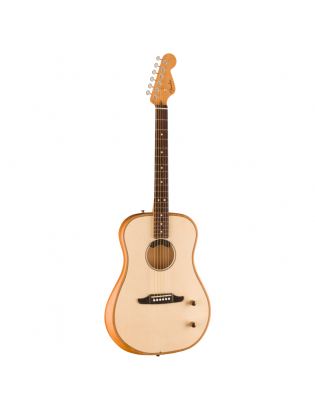 Fender® Highway™...