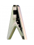 Epiphone Futura Flying V Custom Quicksilver Shift