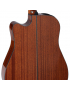 Takamine GD30CE-NAT