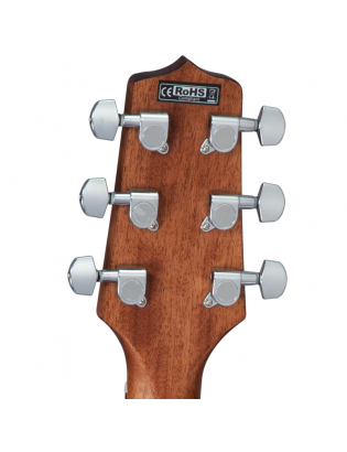 Takamine GD30CE-NAT