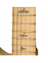 PRS SE Silver Sky Maple MW