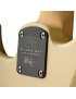 PRS SE Silver Sky Maple MW