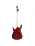 Ibanez RG421PB-CHF