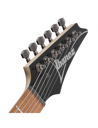 Ibanez RG421PB-CHF