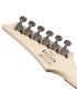 Ibanez RG421PB-CHF