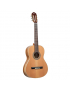 Ortega R20GSNRG