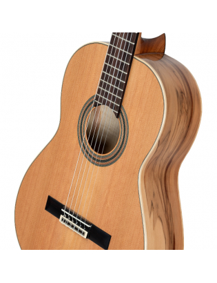 Ortega R20GSNRG