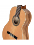 Ortega R20GSNRG