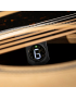 Martin D-X2E Brazilian
