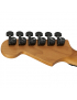 Charvel® Pro Mod Plus DK24 HH HT EB BKA