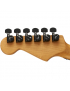 Charvel® Pro Mod Plus DK24 HH HT EB CWH