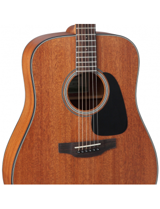 Takamine GD11M-NS