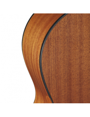 Takamine GD11M-NS