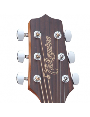 Takamine GD11M-NS