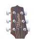Takamine GD11M-NS