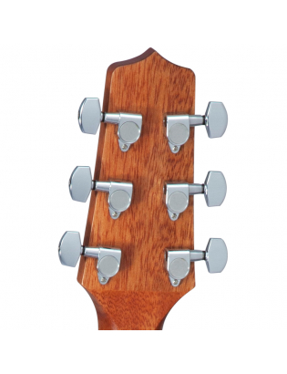 Takamine GD11M-NS