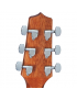 Takamine GD11M-NS