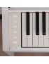 Casio AP-S200 WE