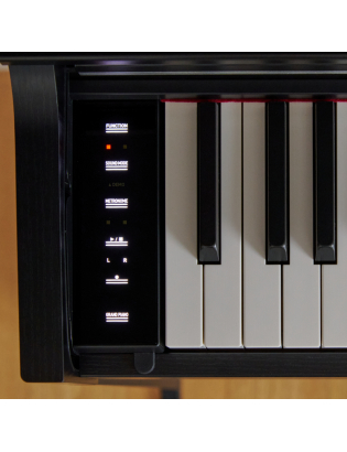 Casio AP-S200 BK