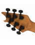 EVH® Wolfgang® WG Standard BKD MN GCR