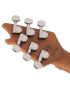 EVH® Wolfgang® WG Standard Exotic Ziricote