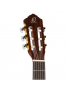 Ortega R55DLX