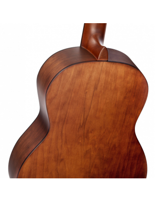 Ortega R55DLX-BFT