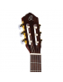 Ortega R55DLX-BFT