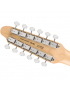 Fender® Squier Paranormal Troy Van Leeuwen Telecaster® XII IL COP