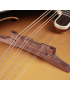 Richwood RMF-60-VS