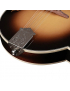 Richwood RMF-60-VS