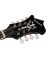 Richwood RMF-60-VS