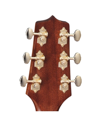 Takamine GN90CE-ZC
