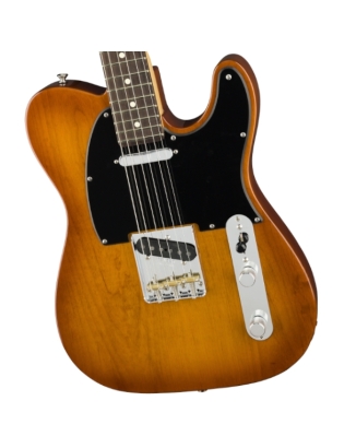 FenderÂ® American Performer TelecasterÂ® RW HBST