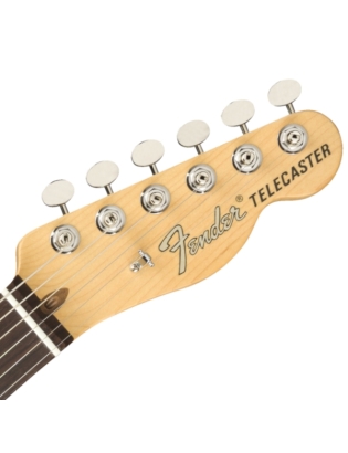 FenderÂ® American Performer TelecasterÂ® RW HBST