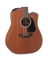 Takamine GD11MCE-NS