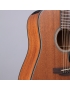 Takamine GD11MCE-NS