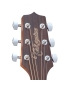 Takamine GD11MCE-NS