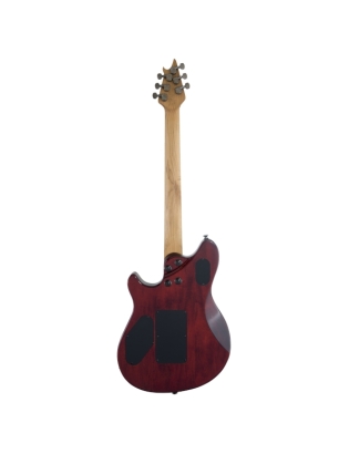 EVHÂ® WolfgangÂ® WG Standard Exotic Ziricote