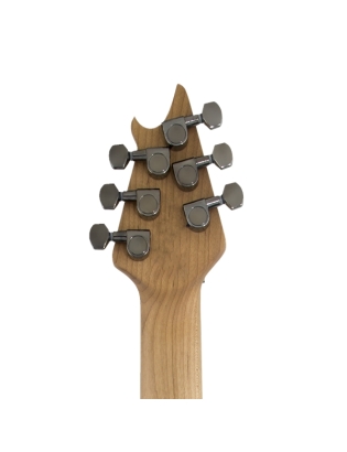 EVHÂ® WolfgangÂ® WG Standard Exotic Ziricote
