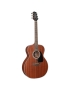 Takamine GN11M-NS