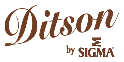 Ditson Guitars
